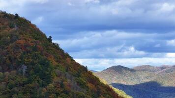 Majestic Mountain Range With Trees in the Foreground video