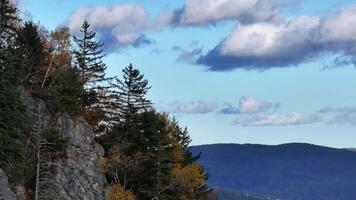 Trees on the edge of a cliff in the mountains video