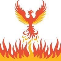 A phoenix bird on fire with flames vector