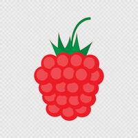 Cartoon single raspberry. illustration. vector