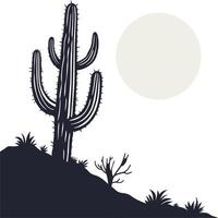 Cactus in the desert vector