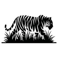 A tiger walking in the grass vector