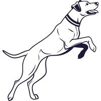 A dog jumping with its hind legs up in the air vector
