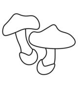 Honey mushroom popular edible mushroom outline, element growing in forest for coloring page vector