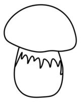 Bolete mushroom popular edible mushroom outline, element growing in forest for coloring page vector