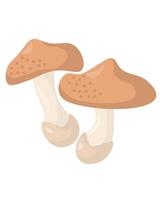 Honey mushroom popular edible mushroom in flat style, element growing in forest for education or design vector