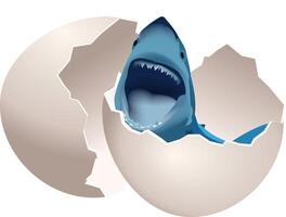 Shark in the egg vector
