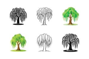 Elegant Weeping Willow Tree Set - Botanical for Tranquil Nature and Scenic Art vector