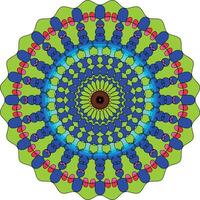 The Mandala Palette Iconic Patterns to Color vector