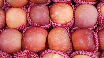 Fresh apples just picked at harvest time are placed in the market for sale seen from above Free Photo
