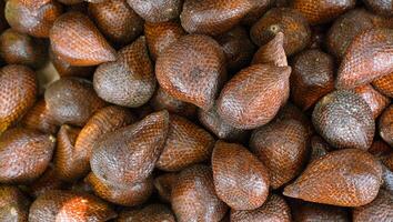 Fresh snakefruit neatly arranged for sale in the market. Healthy and fresh fruit background Free Photos