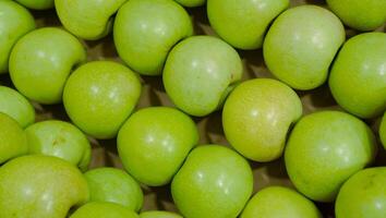 Fresh green apple fruit image. Many delicious apples are seen from above Free Photo