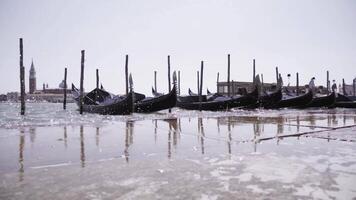 gondolas moored to pier near bay in Venice on sunny day video