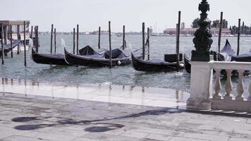 moored black gondolas swing in azure bay in Venice zoom in video