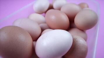 motion around plastic container with chicken eggs on purple video