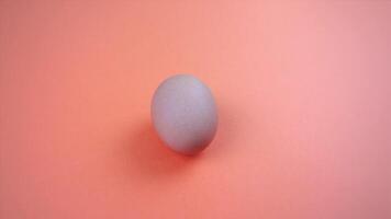 fresh chicken egg lies on bright pink surface closeup video