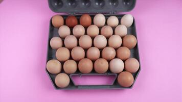 man opens and closes case full of farm chicken eggs on pink video