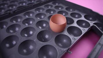 empty broken egg shell in grey tray on pink background video