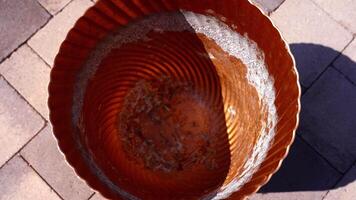 empty brown pot with white dirt stands on grey pavement video