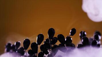 stylish tiara with black sapphires on branches in steam video