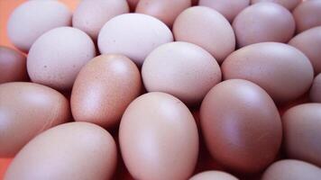 motion above fresh chicken eggs on bright orange background video
