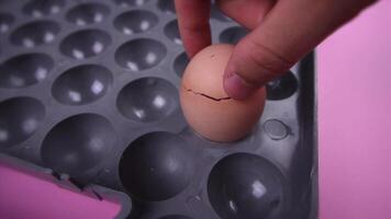 man opens empty brown egg shell in tray on pink background video