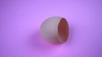 empty broken brown egg shell on purple color background video