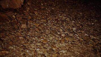 Floor of tunnel with wet brown stones in ancient cave video