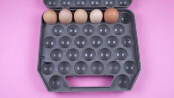 man puts chicken eggs into grey case on pink background video