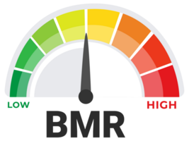 Basal Metabolic Rate BMR Evaluation Tool Illustration with Caloric Burn Rate Spectrum from Low to High png