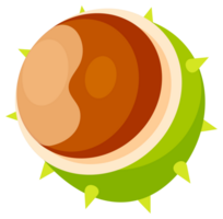 Set of illustrations showing different parts of a horse chestnut, including its spiky shell, the seed and the leaf png