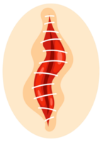Collection of round icons representing various sutured wounds in different configurations, showing the process of surgical suture healing. png
