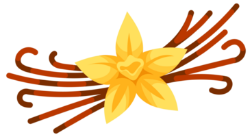 Set of illustrations featuring vanilla pods and vanilla flowers, ideal for projects related to flavoring, spices, and baking png