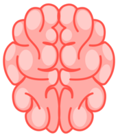 Human brain viewed from the side and top, in soft pink tones, representing the complexity of the human mind png