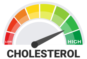 Cholesterol Meter Illustration, Indicating Levels from Low to High, Health and Medical Diagnostic Tool png