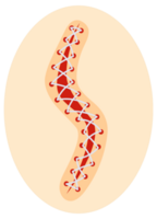 Collection of round icons representing various sutured wounds in different configurations, showing the process of surgical suture healing. png