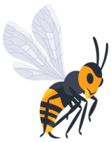 Four different cartoon style wasps flying and crawling with spread wings in different positions png