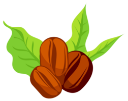Coffee beans set. Showing various stages of roasting. Various angle for coffee product. png
