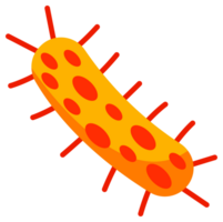 bacterias y gérmenes colocar. tipos y microorganismo. gérmenes y bacilo. png