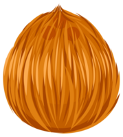 Coconuts with palm leaves. Whole and half cracked broken coco nut. Summer fruits png