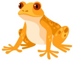 Four colorful frogs are sitting, jumping, and catching flies with their tongues in this cartoon illustration of amphibians png