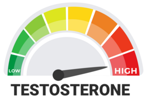 Testosterone Level Indicator Graphic with Low High Scale, Hormonal Health and Endocrinology Concept png