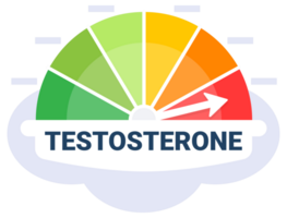 Colorful gauge showing testosterone level with arrow pointing to high on a cloudy background png