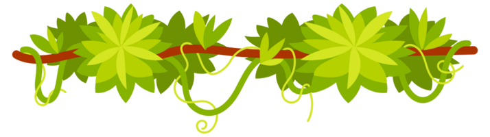 Set of cartoon lianas covered with green leaves, hanging on branches, jungle design elements on white background png