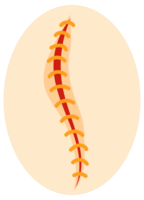 Collection of round icons representing various sutured wounds in different configurations, showing the process of surgical suture healing. png
