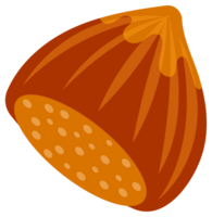 Hazelnuts at various stages of ripeness, showcasing the nut, shell, and kernel, providing a comprehensive visual guide to this popular nut png