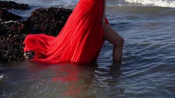 Professional model in red dress with slit and fluffy train video