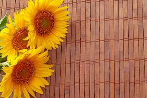 Beautiful sunflowers on color background. Flowers in a beautiful bouquet photo