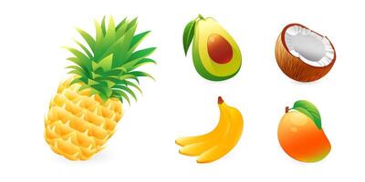 Set of illustrations of tropical fruits, pineapple, avocado, coconut, mango, banana, in realistic 3D style. vector