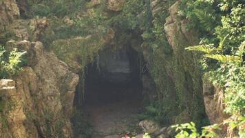 Exploring a hidden cave surrounded by lush greenery in Indonesia video